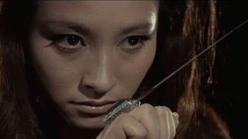 女殺し屋　牝犬 Bild 5