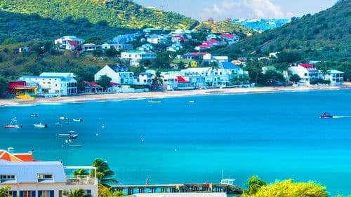 Caribbean Life Bild 3