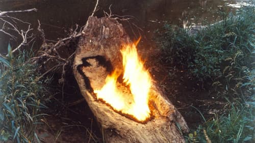 Ana Mendieta: Fuego de Tierra Bild 1
