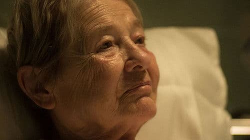 Aurora Borealis Bild 4