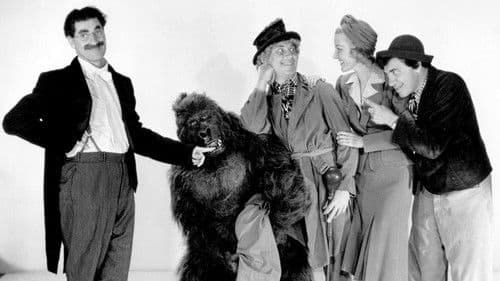 Die Marx Brothers im Zirkus Bild 7