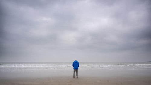 Ozean mit David Attenborough Bild 4