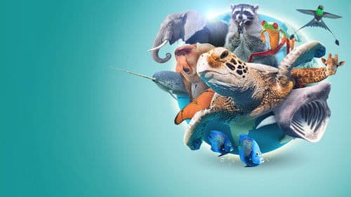 Verrückter Planet Bild 2