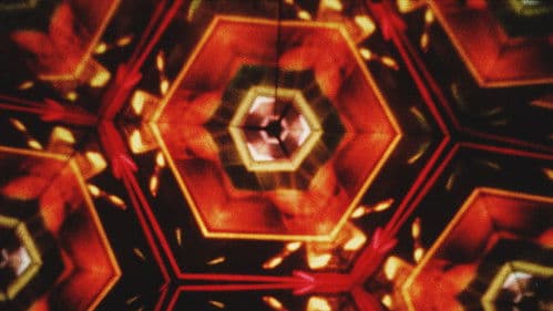 Palace of Pleasure Bild 4