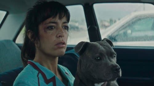 Vincent Must Die Bild 5