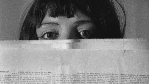 L'Étoile de mer Bild 2