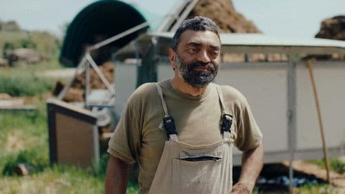 Il vento soffia dove vuole Bild 8