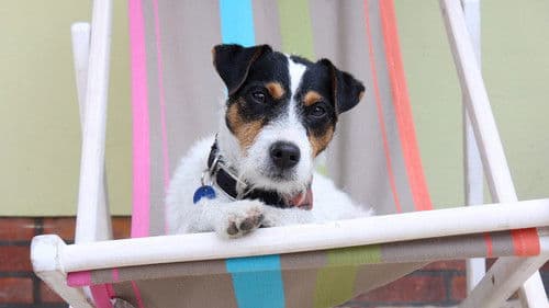 Da kommt Kalle Bild 1