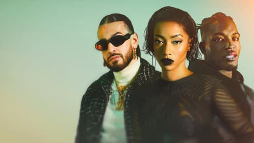 Nouvelle École Bild 2