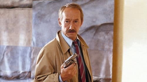 Polis polis potatismos Bild 1