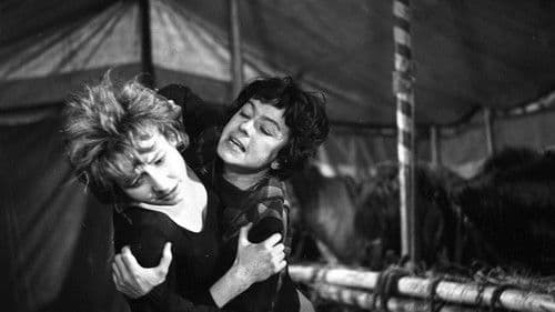 Dom bez okien Bild 7