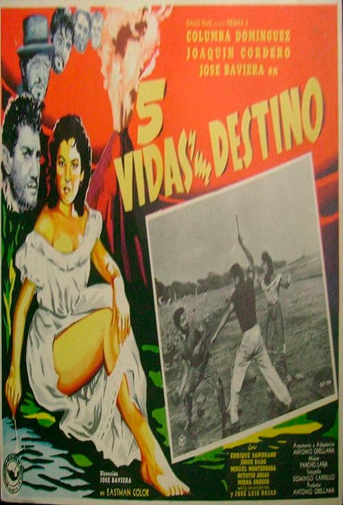 Cinco vidas y un destino
