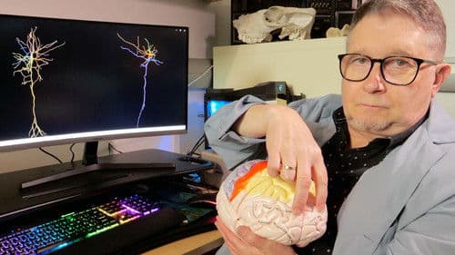 Wenn Tiere es aus Spaß an der Freude tun Bild 5