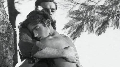 O Menino e o Vento Bild 1