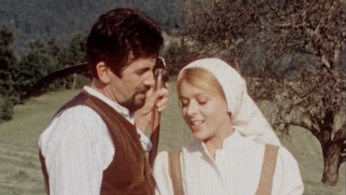 Cvetje v jeseni Bild 1