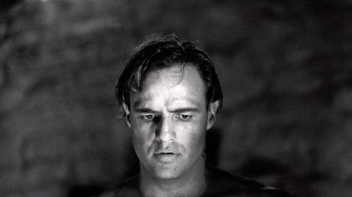 Brando Bild 2