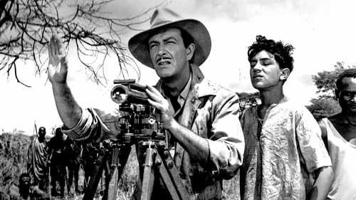 Rivalen unter heißer Sonne Bild 2