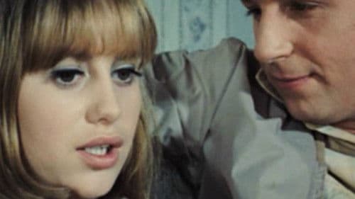 All Neat in Black Stockings Bild 1