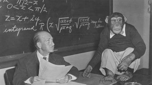 Bonzo Goes to College Bild 1