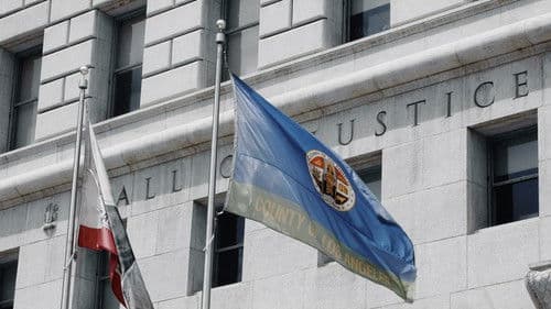 Unfinished Lives Bild 2