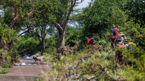 Trials of the Wild Bild 2