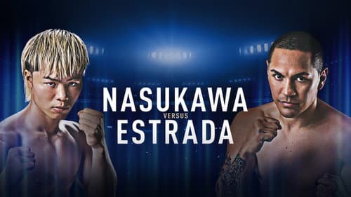 PRIME VIDEO BOXING 15 Bild 2