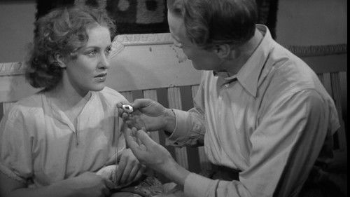 Houkutuslintu Bild 5