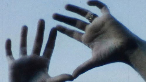 The Sky Socialist Bild 1