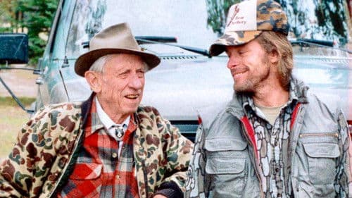 Bear Video Theater Bild 2