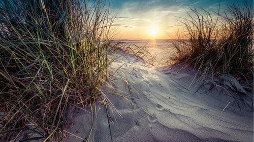 Ja for Fanø! Bild 3