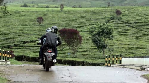 Dusk & Demitasse Bild 1