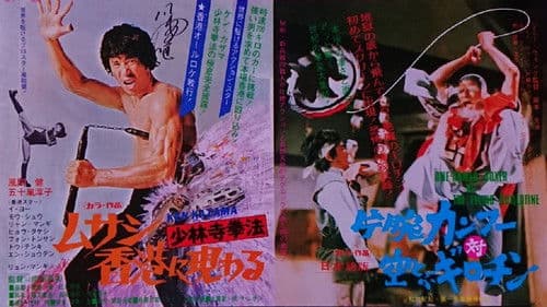 少林寺拳法　ムサシ香港に現わる Bild 1