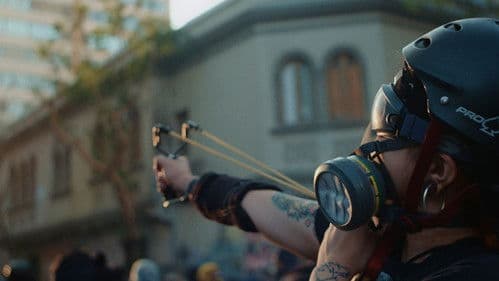 Dear Future Children Bild 2