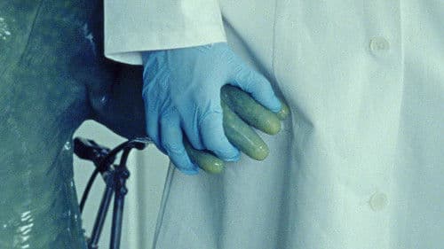 Der Molchkongress Bild 1