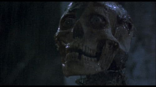 Verdammt, die Zombies kommen Bild 7