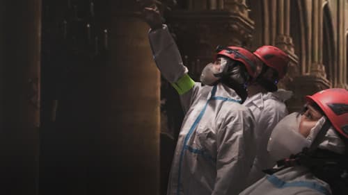 Saving Notre Dame Bild 5