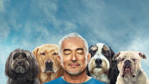 Cesar Millan: Guter Mensch guter Hund Bild 5