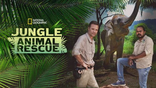 Jungle Animal Rescue Bild 2