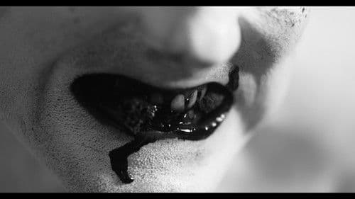 They Live on Top Bild 4