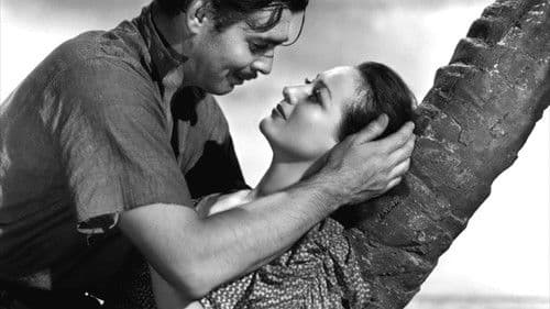 Die wunderbare Rettung Bild 1