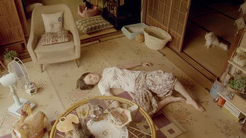 レンタネコ Bild 3