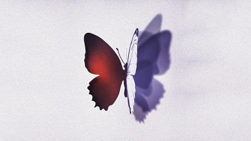 Complete Unknown Bild 2