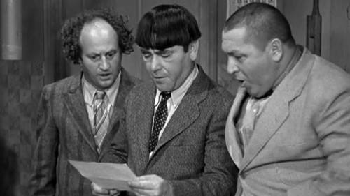 Cactus Makes Perfect Bild 2