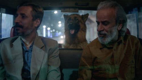 মায়ানগর Bild 1