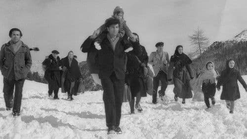 Weg der Hoffnung Bild 2