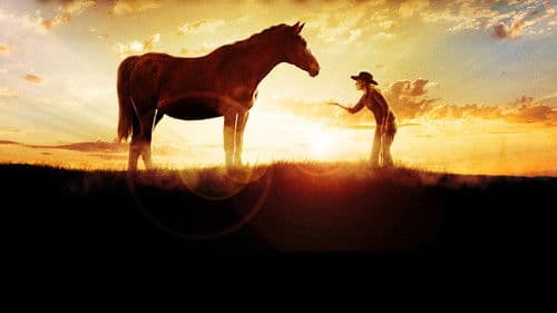 Das Geheimnis des wilden Mustangs Bild 2