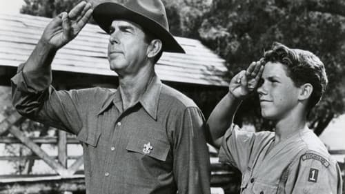 Vierzig Draufgänger Bild 1