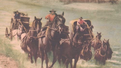 The California Mail Bild 1