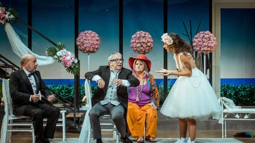 El pare de la núvia Bild 4