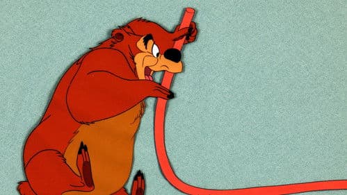 Humphrey, der Bär Bild 1